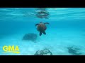 Amy Robach S Galápagos Check In