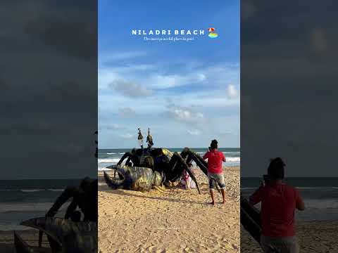 Niladri beach puri 🏝️ #viral #viralreels