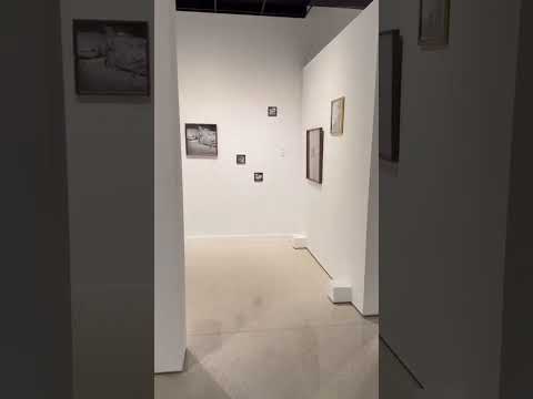 De Mercedes para Miami: artista do Oeste do Paraná estreia exposição nos Estados Unidos