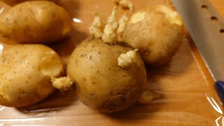 ジャガイモの芽を揚げて食べる(食事シーン)