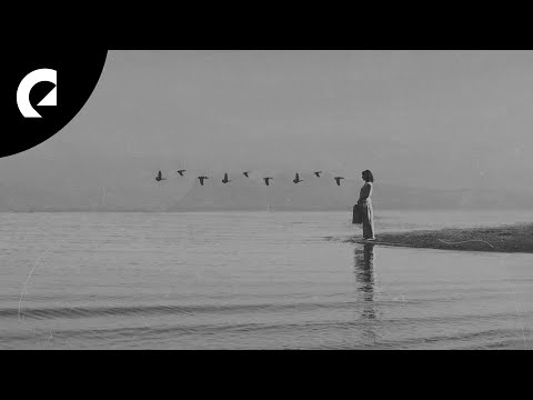 Franz Gordon - Ambedo