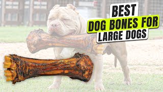 3 BEST Dog Bones for Large Dogs