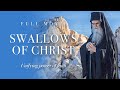 Swallows Of Christ A Film About The Unifying Power Of Faith