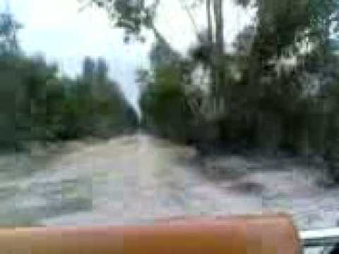 no pinhal da...Isent@!!""##