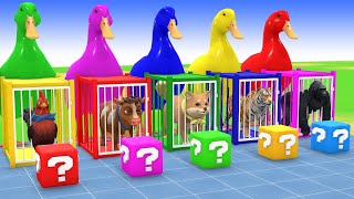 Long Slide Game With Cow Elephant Gorilla Hippopotamus Tiger 3d Animal Game Funny 3d Animals