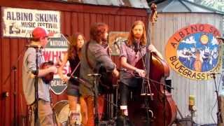 The Stray Birds at Albino Skunk 2013 -- Anniversary Blue Yodel (Blue Yodel No. 7)