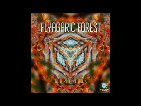 Flyagaric Forest – Nature Of Things (Full Album 2018)