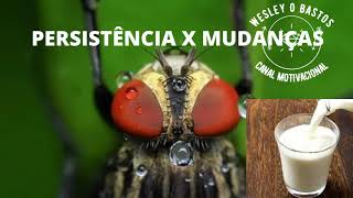 PERSISTNCIA X MUDANAS #MOTIVAO #MOTIVACAO