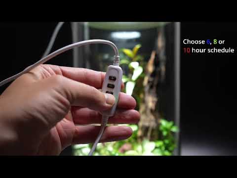 Watch Video on YouTube