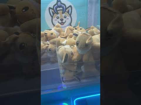 MIREN QUE BONITO PARA GASTAR #funnyhumor