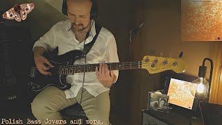 Michael Franks - &quot;The Lady Wants To Know&quot;. Bass Cover. 🎧