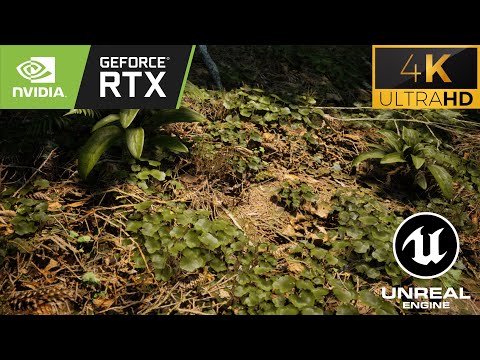 4K Unreal Engine 5 Photorealistic Conifer Trees Forest DEMO by MAWI | Next-Gen Graphics 2023 RTX3090
