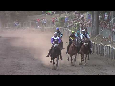 Lanusei palio angloarabi vincitore giuseppe picinnu 13.08.2023