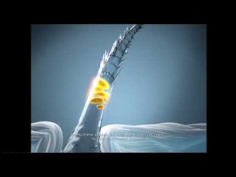 Pantene Pro-V Shampoo 2010 Ad