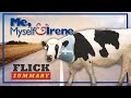 Me Myself And Irene How On Earth Is That Cow Still Alive Flick Summary