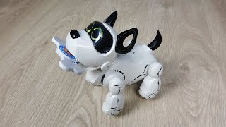 Silverlit Робот-щенок Pupbo (88520/88520P) - відео 1