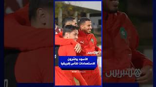 الأسود يباشرون الاستعدادات لكأس إفريقيا thumbnail