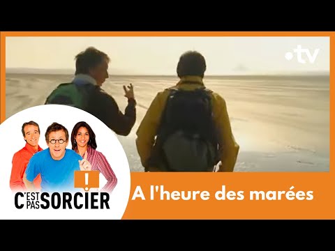 A l'heure des marées - C'est pas sorcier [Intégrale]
