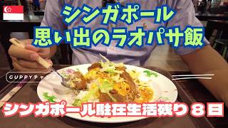 【シンガポール生活あと8日】ラオパサで、駐在中いちばん好きだった味をもう一度【最後に選んだのはラオパサのあの料理】