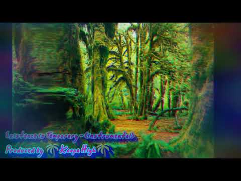 🌴Koopa High🌴- Existance is Temporary (instrumental)