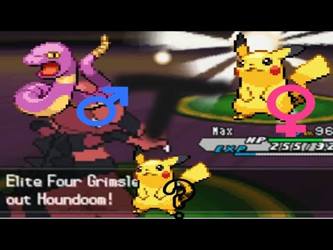 Pokemon Black/White (1 and 2) Full Breeding Guide