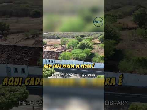 Coronel José Dias: A Origem do Brasil Revelada #shorts