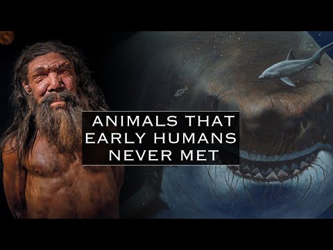 The Creatures & Animals That Early Humans Never Met | Pre-Historic Humans Documentary