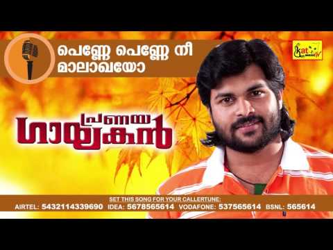 പെണ്ണേ പെണ്ണേ നീ | Penne Penne | Super Hit Romantic Album Song |  | Pranaya Gayakan | Shafi