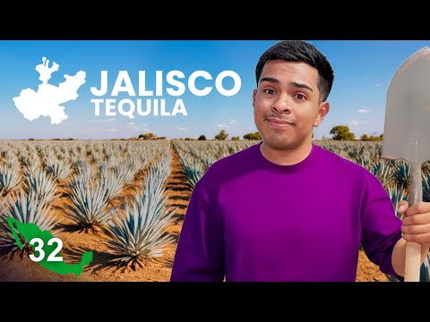 La VUELTA a MEXICO en 80 DIAS: JALISCO Tequila