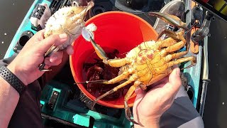Will The Blue Crabs Hang Around With All This Rain?