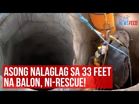 Asong nalaglag sa 33 feet na balon, ni-rescue! GMA Integrated Newsfeed