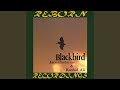 Blackbird