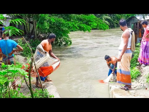 Unique Net Fishing In Bangladesh || Fish Catching By Net || Fishing Technique By Net.