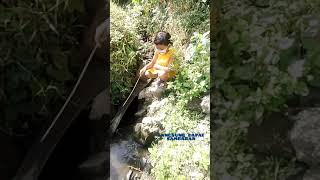 Download lagu fishing mania mancing cantik mancing ambyar juoosss mp3 Download lagu fishing mania mancing cantik mancing ambyar juoosss mp3