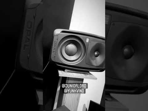 Yunk Vino & Junior Lord | (Prod. Godassisti) UNRELEASED II