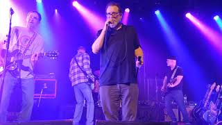 The Connells - Carry my Picture (live)