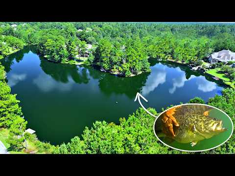 Catching the First 10lb Bass in the Backyard Pond!!
