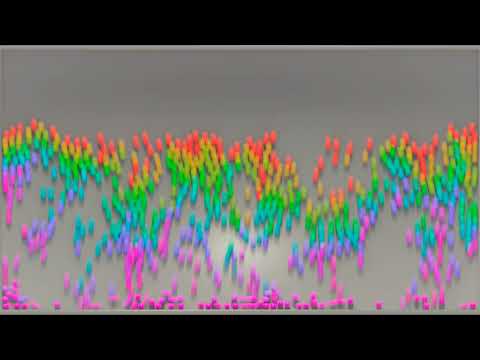 ViCMA: Visual Control of Multibody Animations (Teaser) - YouTube