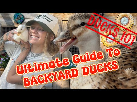 Ducks 101: What To Know BEFORE You Bring Them Home! | Beginner Duck Care Guide 🦆