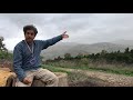 Eco Tours in Israel: Via Maris, Abraham and Dan