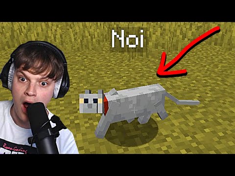 JEG FANDT HAM!!!! - Minecraft: ep 93