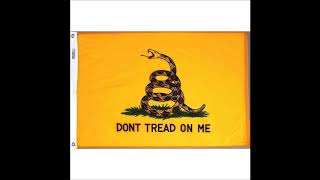 Sons of Liberty  --- )))  False Flag  (((( ----  Lyrics in description