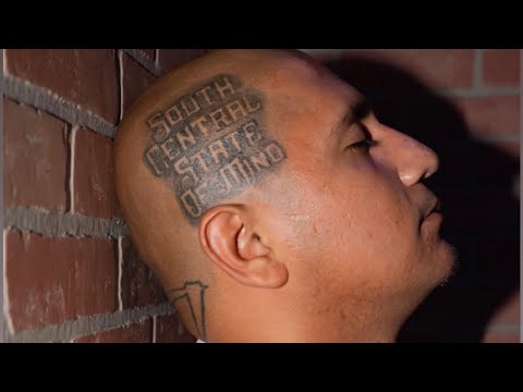 Loksta P - Money Trees (G-Mix) [feat. Lil Silent & Lil Trust] Full Visualizer