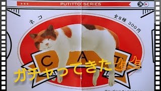 【ガチャ】『PUTITTO ネコ 』をガチャってきた！