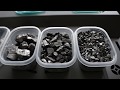 What Are The Different Types of Anthracite Coal?