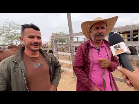 Feira do Gado em Senador Rui Palmeira - AL 20 - 01 - 2026 #nordeste