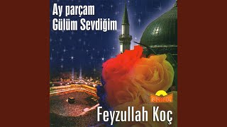 Ay Parçam Gülüm Sevdiğim