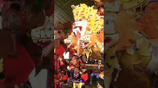 Download lagu manuk gotong dangdut koplo ayu group sriwijaya muda #shortvideo mp3