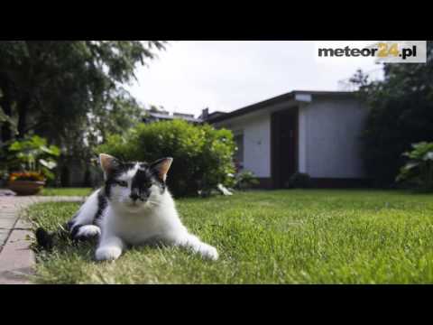 Kwatery Prywatne Danuta Skoczylas - Busko-Zdrój meteor24.pl