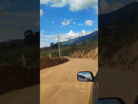 #passeio #gado  #roça  Alto Caparaó MG lugar bom pra se viver.